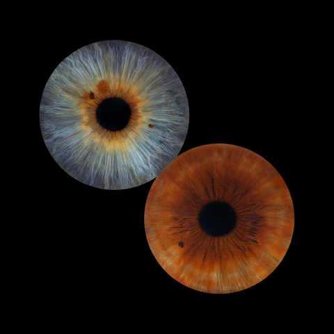 IRIS DUO 110$ | 2 photos (17-1002)