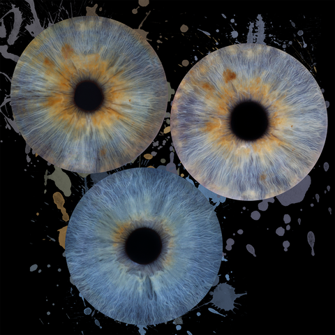 IRIS TRIO 165$ | 3 photos (17-1004)