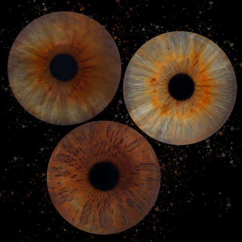 IRIS TRIO 450$ ENCADREMENT | FRAME 20x20 (17-1005)