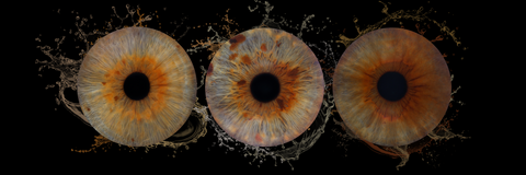 IRIS TRIO 500$ ENCADREMENT | FRAME 12x36 (17-1006)