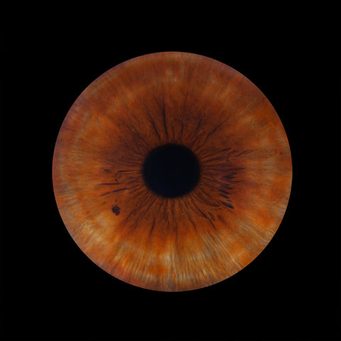 IRIS SOLO 225$ ENCADREMENT | FRAME 8x8 (17-1001)