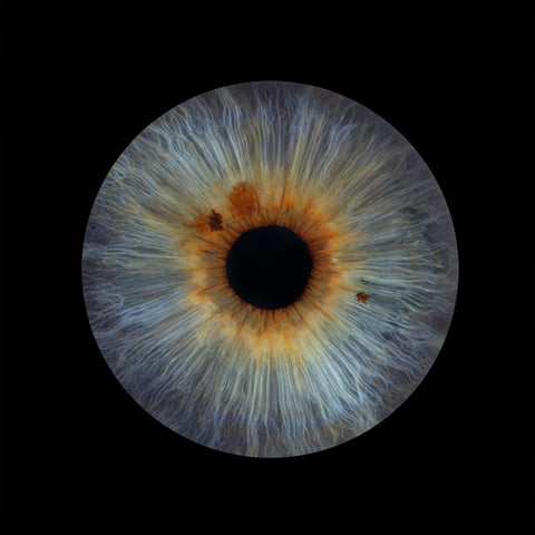 IRIS SOLO 65$ | 1 photo (17-1000)